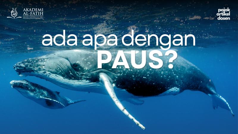 ADA APA DENGAN PAUS?